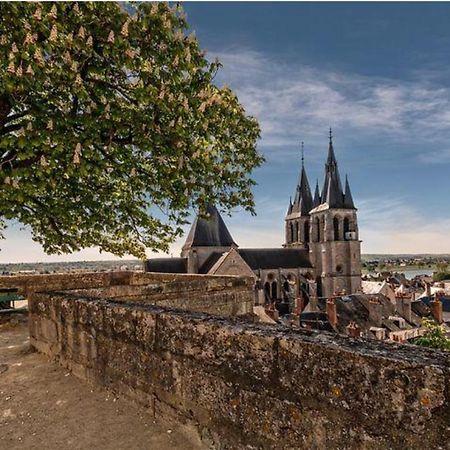 Appartement Coeur De Blois /Heart Of The City Exteriér fotografie